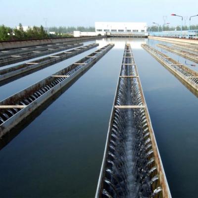 Water plant solutions